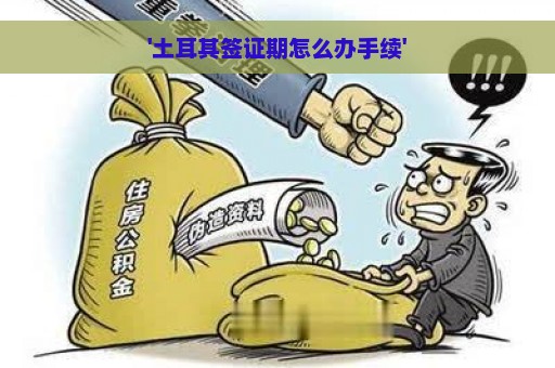 '土耳其签证期怎么办手续'