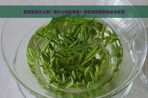 老班章是什么茶？是什么样的茶类？详解老班章的特点与品质