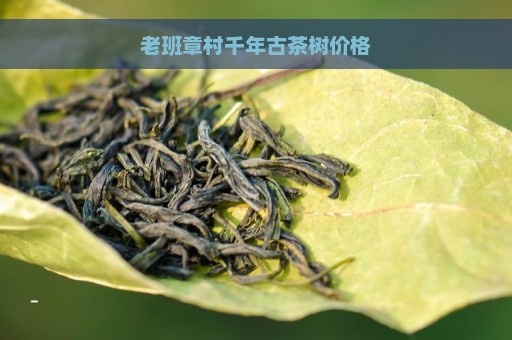 老班章村千年古茶树价格