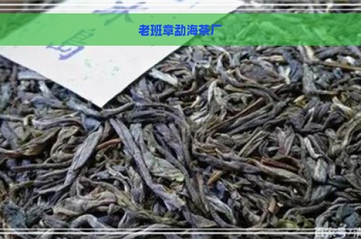 老班章勐海茶厂