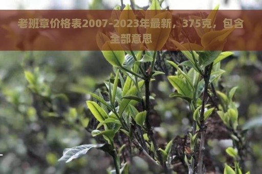 老班章价格表2007-2023年最新，375克，包含全部意思