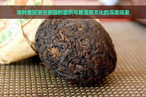 章村老班章古茶园的面积与普洱茶文化的深度探索