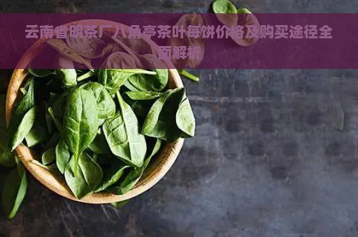 云南省明茶厂八角亭茶叶每饼价格及购买途径全面解析