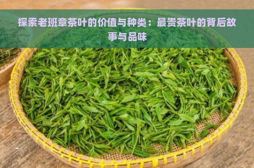 探索老班章茶叶的价值与种类：最贵茶叶的背后故事与品味