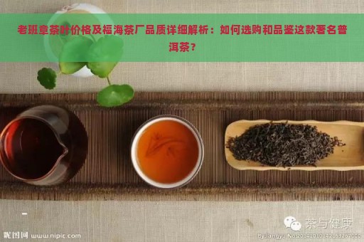 老班章茶叶价格及福海茶厂品质详细解析：如何选购和品鉴这款著名普洱茶？