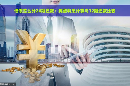 借呗怎么分24期还款：完整利息计算与12期还款比较