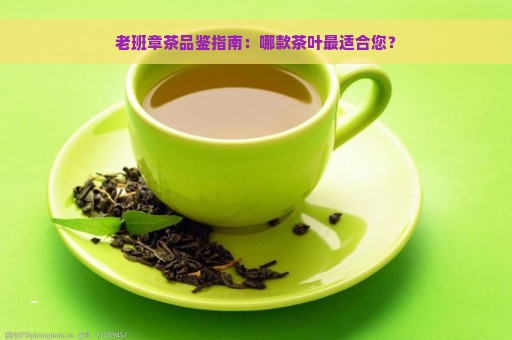 老班章茶品鉴指南：哪款茶叶最适合您？