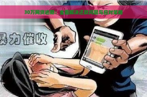 30万网贷逾期：全面解决还款问题与应对策略