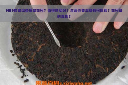 9块9的普洱茶质量如何？值得购买吗？与高价普洱茶有何区别？如何鉴别真伪？