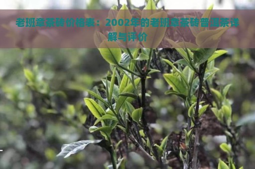 老班章茶砖价格表：2002年的老班章茶砖普洱茶详解与评价