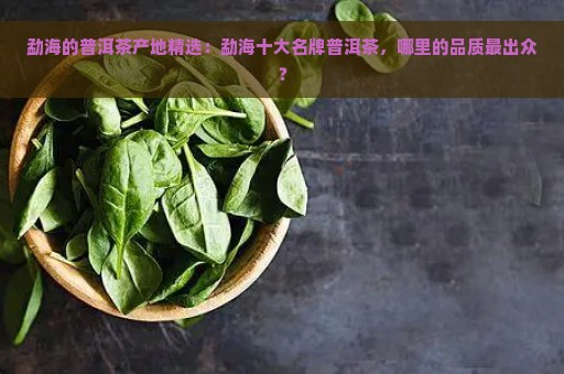 勐海的普洱茶产地精选：勐海十大名牌普洱茶，哪里的品质最出众？