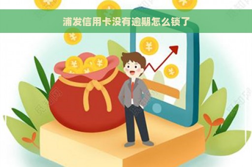 浦发信用卡没有逾期怎么锁了