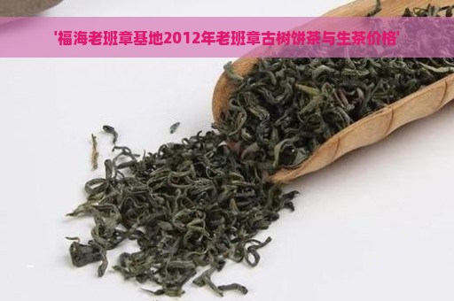 '福海老班章基地2012年老班章古树饼茶与生茶价格'