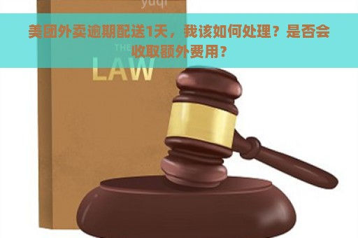 美团外卖逾期配送1天，我该如何处理？是否会收取额外费用？