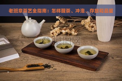 老班章茶艺全指南：怎样醒茶、冲泡、存放和品鉴