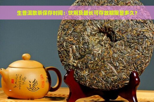 生普洱散茶保存时间：饮用及最长可存放期限是多久？