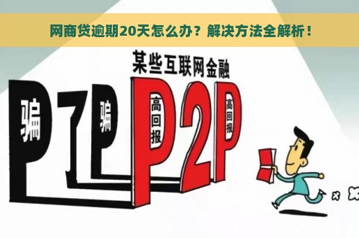 网商贷逾期20天怎么办？解决方法全解析！