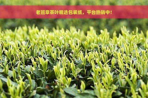 老班章茶叶精选包装纸，平台热销中！