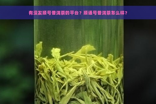 有没发顺号普洱茶的平台？顺通号普洱茶怎么样？