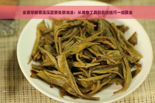 全面掌握普洱压紧茶生茶泡法：从准备工具到品饮技巧一应俱全