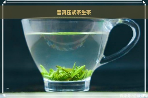 普洱压紧茶生茶