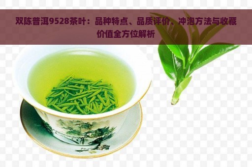 双陈普洱9528茶叶：品种特点、品质评价、冲泡方法与收藏价值全方位解析