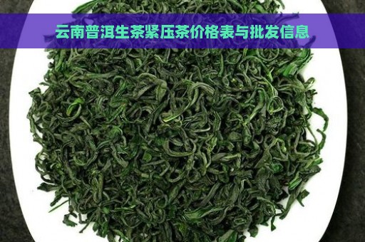 云南普洱生茶紧压茶价格表与批发信息