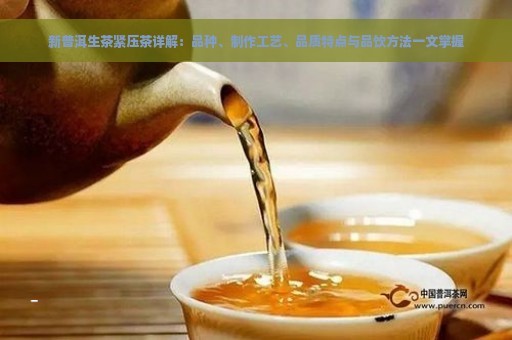 新普洱生茶紧压茶详解：品种、制作工艺、品质特点与品饮方法一文掌握