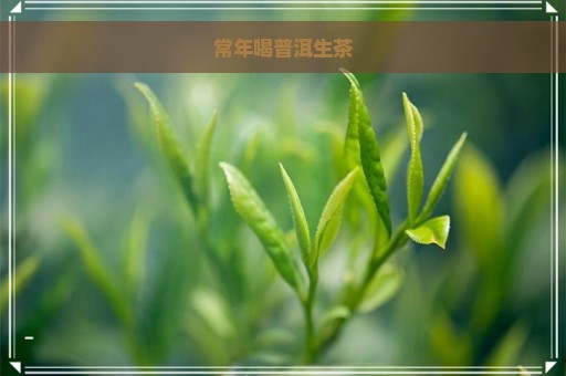 常年喝普洱生茶