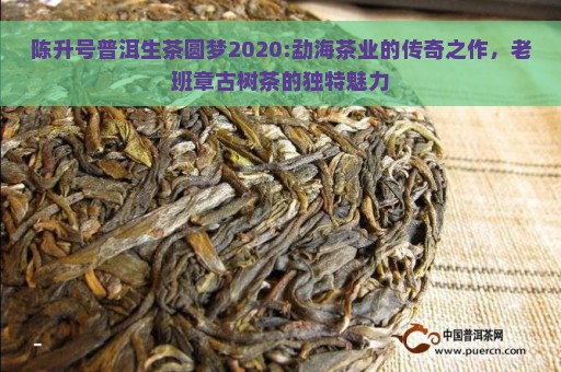 陈升号普洱生茶圆梦2020:勐海茶业的传奇之作，老班章古树茶的独特魅力