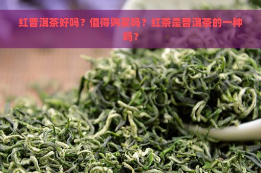 红普洱茶好吗？值得购买吗？红茶是普洱茶的一种吗？