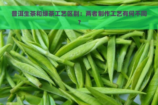 普洱生茶和绿茶工艺区别：两者制作工艺有何不同？