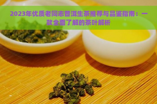 2023年优质老同志普洱生茶推荐与品鉴指南：一款全面了解的茶叶解析