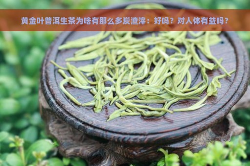 黄金叶普洱生茶为啥有那么多炭渣滓：好吗？对人体有益吗？