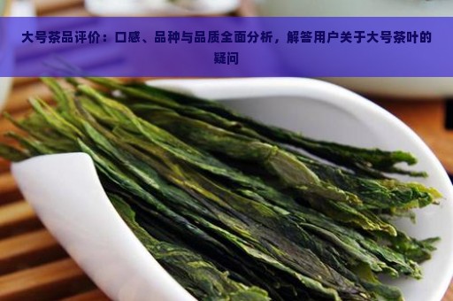 大号茶品评价：口感、品种与品质全面分析，解答用户关于大号茶叶的疑问