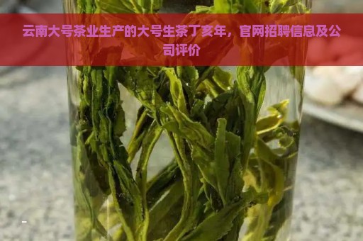 云南大号茶业生产的大号生茶丁亥年，官网招聘信息及公司评价