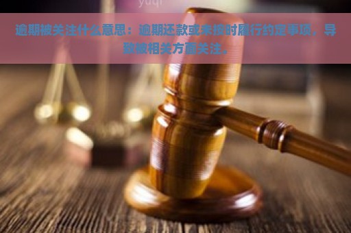 逾期被关注什么意思：逾期还款或未按时履行约定事项，导致被相关方面关注。