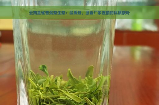 云南金雀普洱茶生茶：品质越，源自厂家直销的优质茶叶