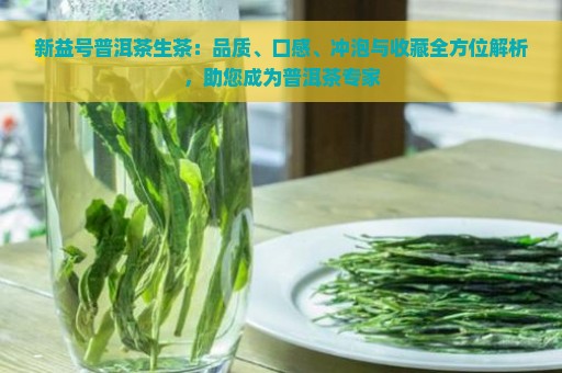 新益号普洱茶生茶：品质、口感、冲泡与收藏全方位解析，助您成为普洱茶专家