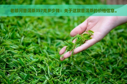 老郎河普洱茶357克多少钱：关于这款普洱茶的价格信息。