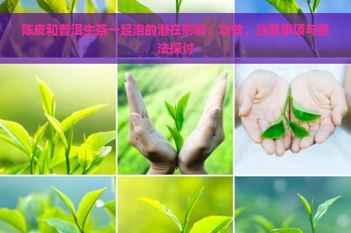 陈皮和普洱生茶一起泡的潜在影响：功效、注意事项与煮法探讨