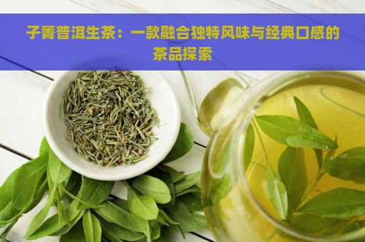 子箐普洱生茶：一款融合独特风味与经典口感的茶品探索