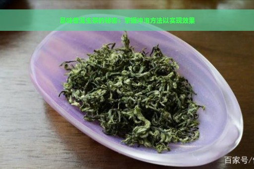 品味普洱生茶的秘密：掌握冲泡方法以实现效果