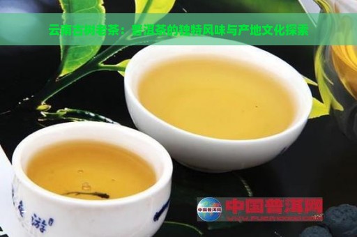 云南古树老茶：普洱茶的独特风味与产地文化探索