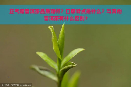 正气塘普洱茶品质如何？口感特点是什么？与其他普洱茶有什么区别？