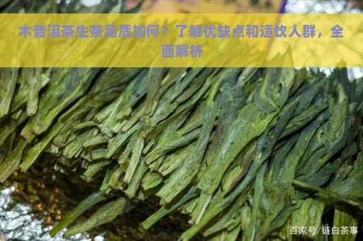 木普洱茶生茶品质如何？了解优缺点和适饮人群，全面解析