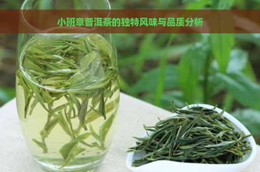 小班章普洱茶的独特风味与品质分析