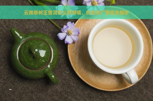 云南茶树王普洱怎么样好喝，价格及厂家信息解析