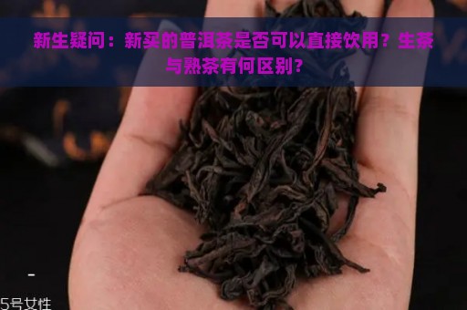 新生疑问：新买的普洱茶是否可以直接饮用？生茶与熟茶有何区别？