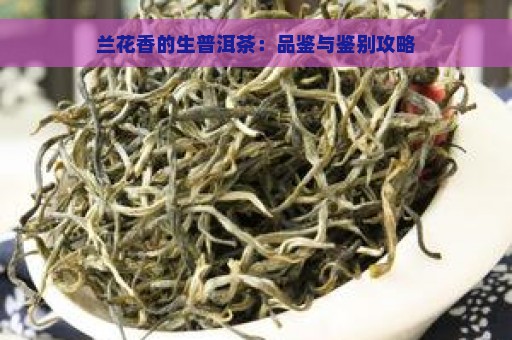 兰花香的生普洱茶：品鉴与鉴别攻略